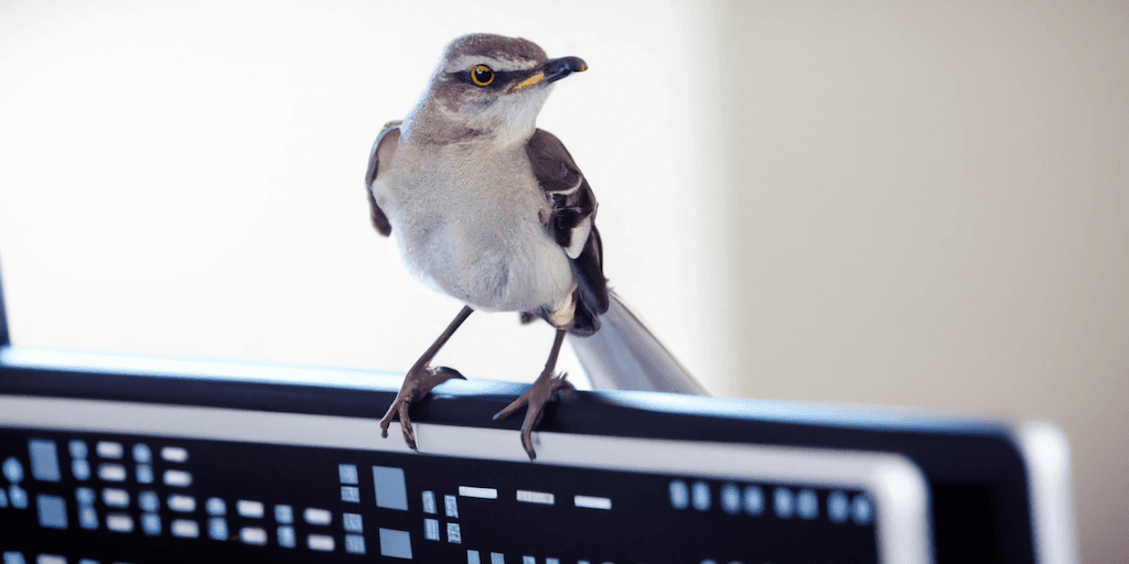 API Mocking: Essential and Redundant